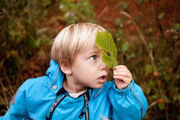 Photo of a little boy with a leaf in his hand. 
