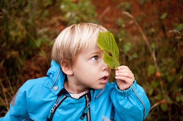 Photo of a little boy with a leaf in his hand.