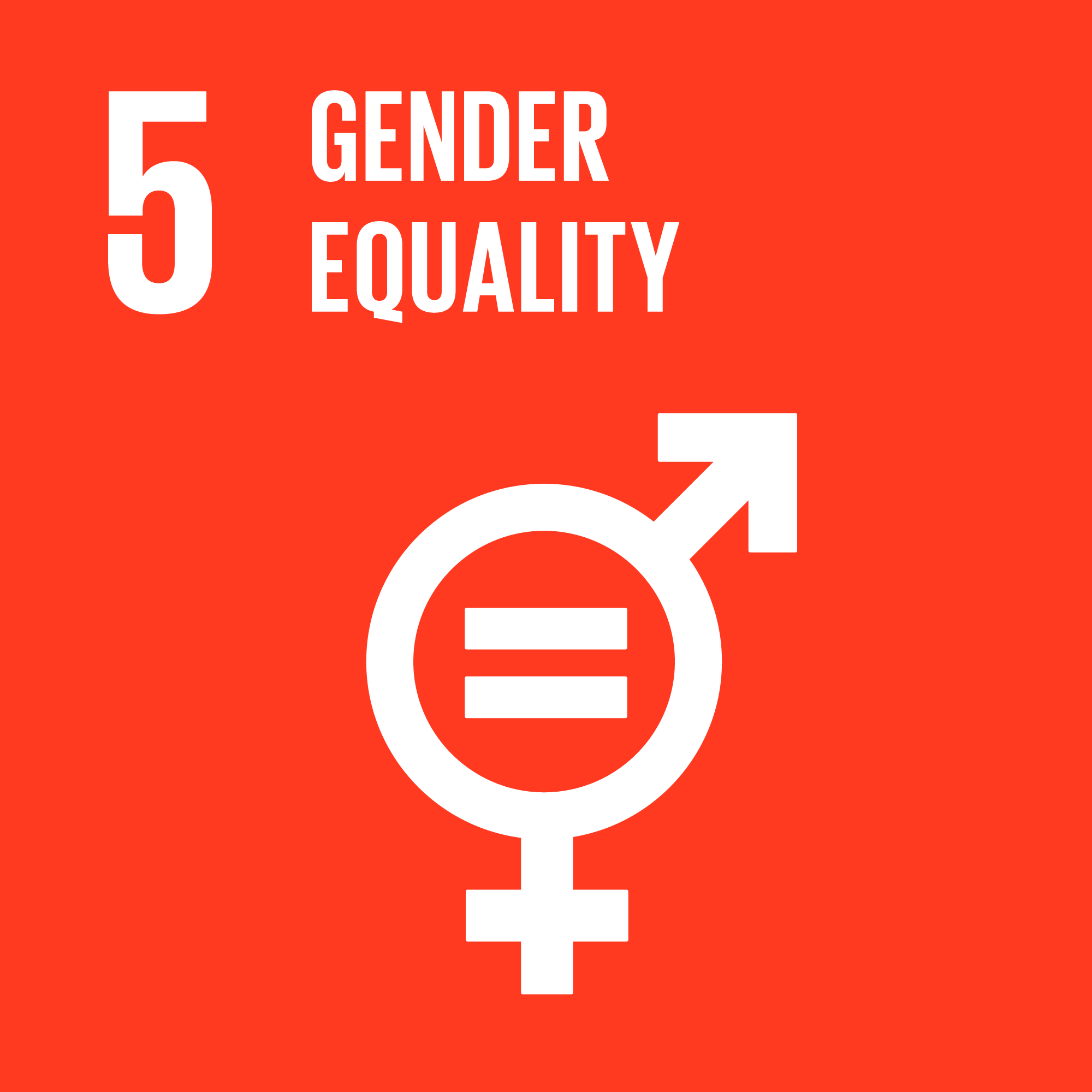 goal 5 gender equality essay