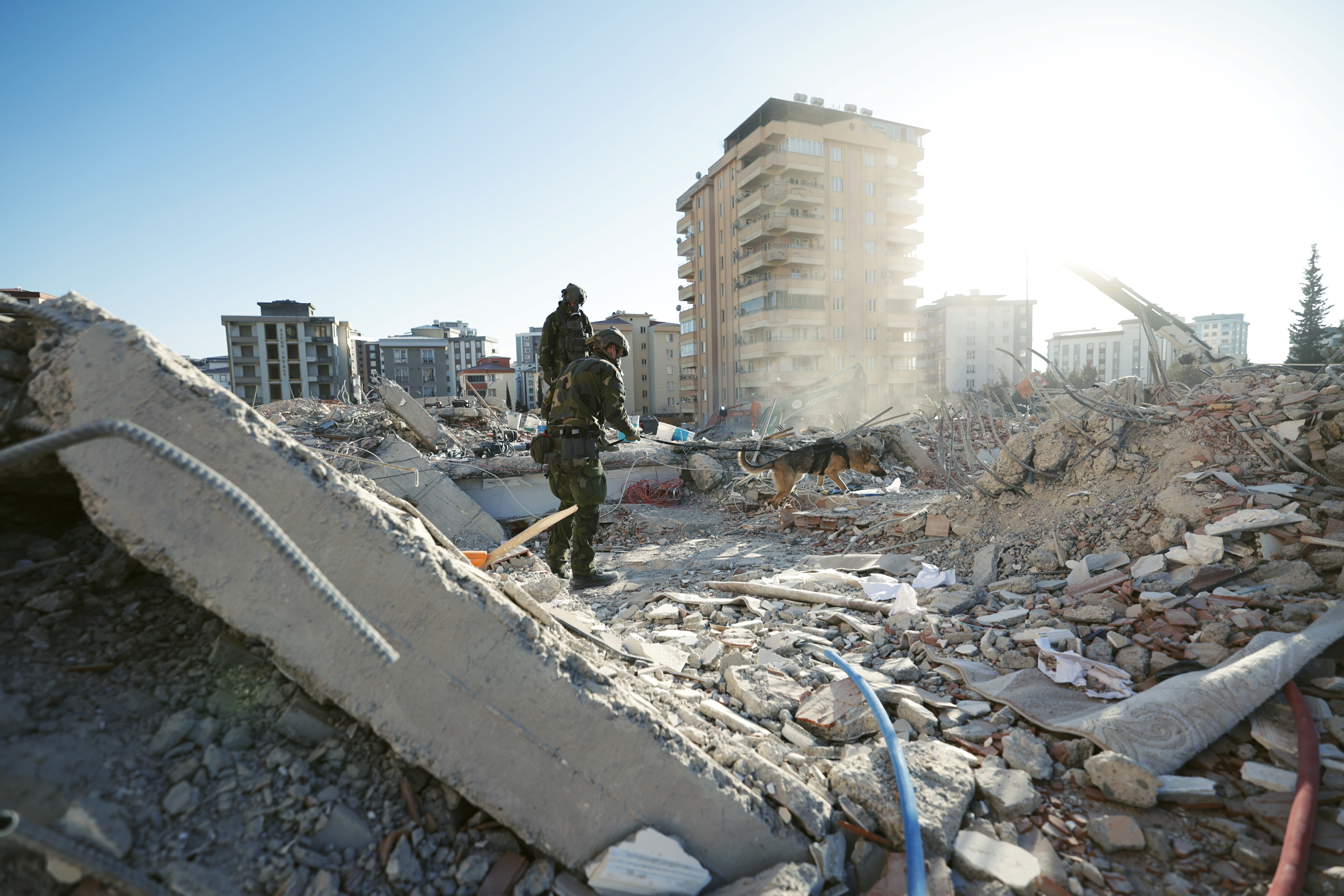 Persons in camouflage and a rescue dog among the rubble.