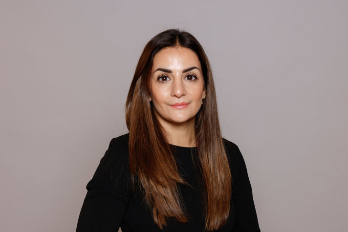 Parisa Liljestrand, Minister for Culture