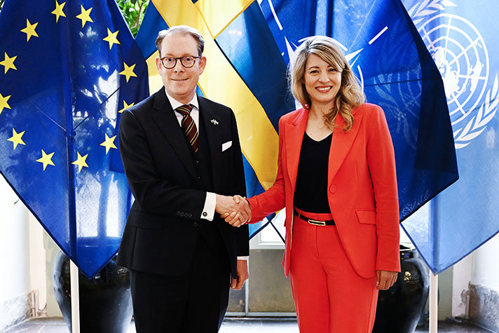 Billström and Joly shaking hands in front of flags